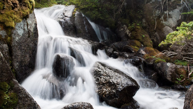 Waterfall forest rocks trees water free wallpaper for desktop - medium preview image