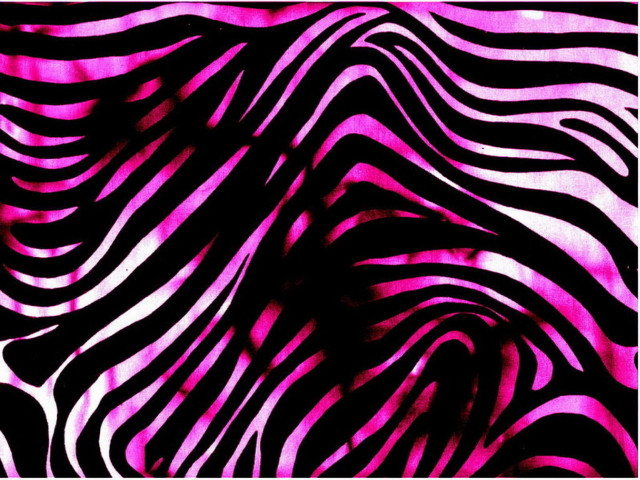 Zebra print pink background black #3 free wallpaper for desktop - medium preview image