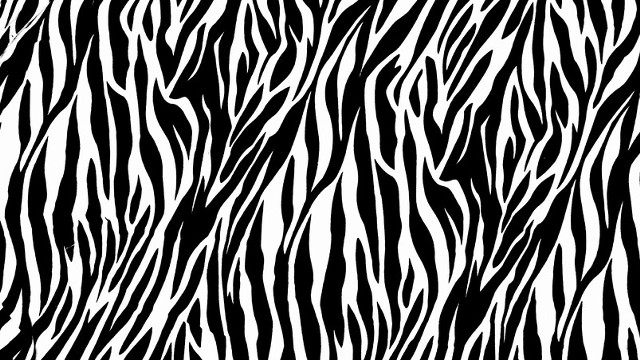 Zebra print black white stripes free wallpaper for desktop - medium preview image