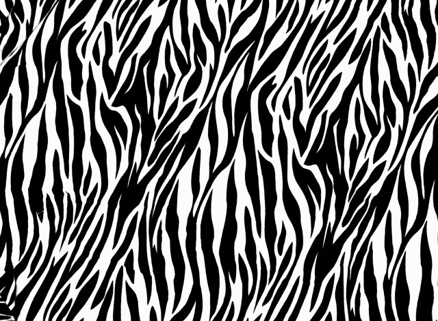 Black white zebra print pattern free wallpaper for desktop - medium preview image