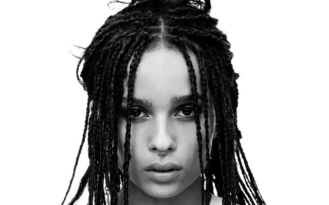 Woman dreadlocks black and white free wallpaper for desktop - medium preview image