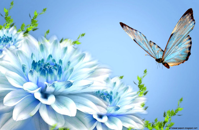 Blue butterfly over blue flower free wallpaper for desktop - medium preview image