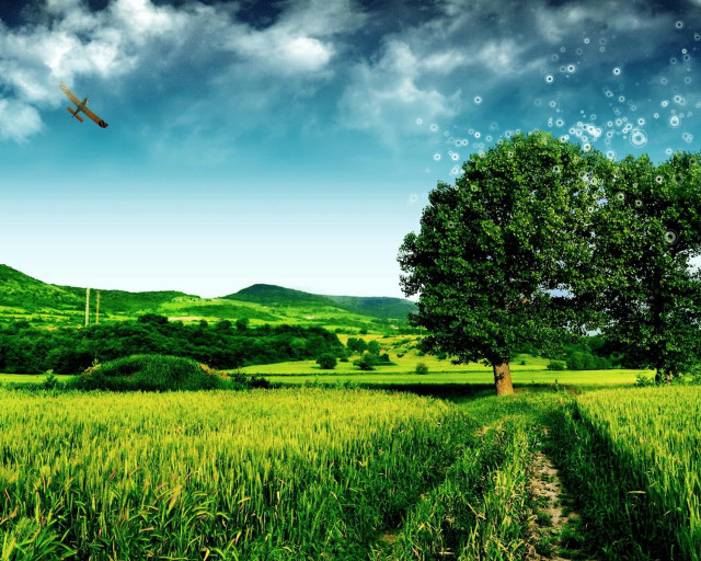 Plane over lush green field free wallpaper for desktop - medium preview image