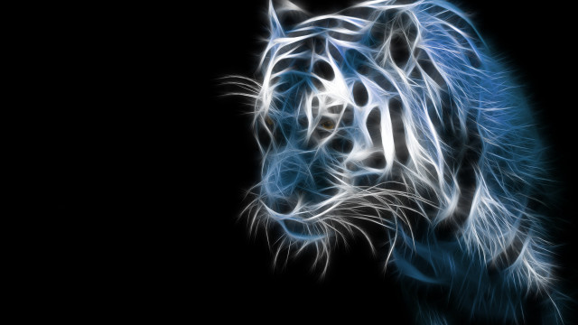 Blue white tiger dark background free wallpaper for desktop - medium preview image