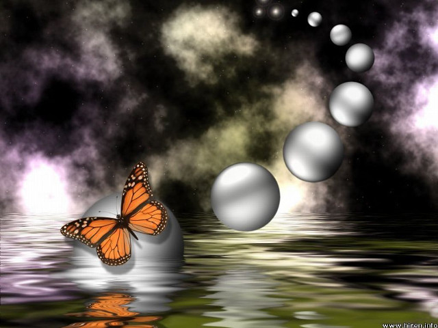 Butterfly flying water bubbles balls free wallpaper for desktop - medium preview image