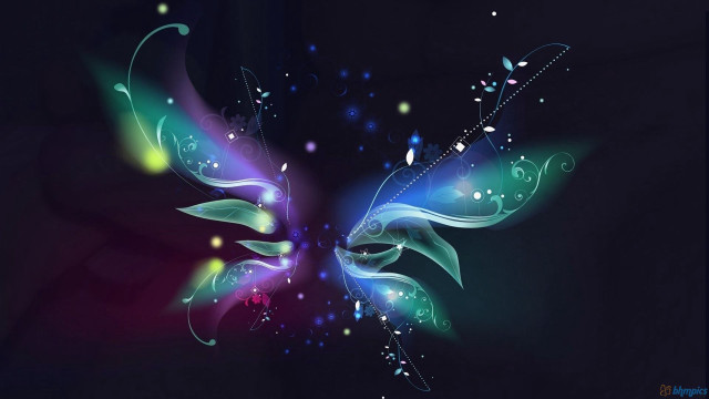 Colorful butterfly black blue white free wallpaper for desktop - medium preview image