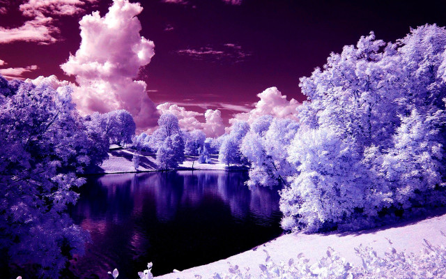 Lake trees clouds purple hued free wallpaper for desktop - medium preview image
