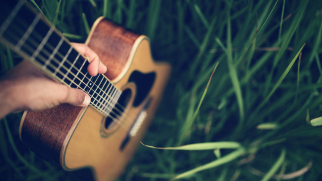 Person playing guitar grass fingers free wallpaper for desktop - medium preview image