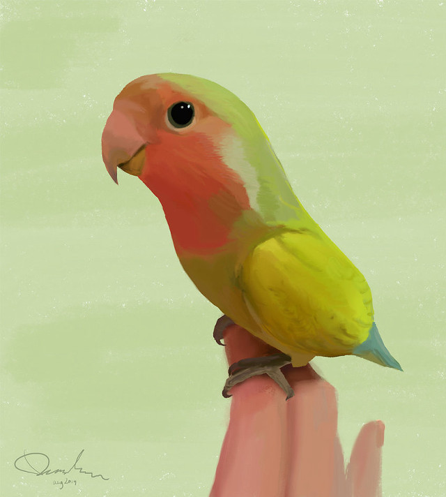 Bird perched hand green pink free wallpaper for tablet - medium preview image