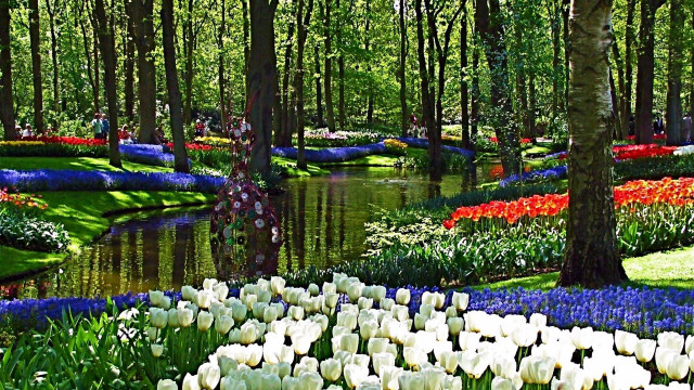 Garden flowers trees pond water free wallpaper for desktop - medium preview image