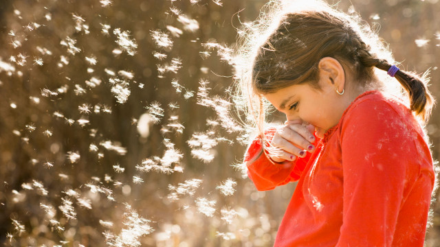 Young girl blowing dandelion field free wallpaper for desktop - medium preview image