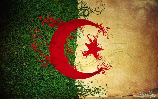 Grungy flag star crescent grass free wallpaper for desktop - medium preview image