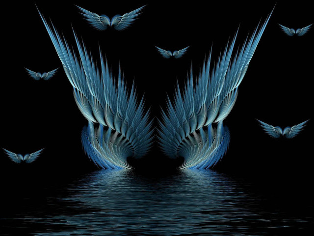 Birds flying over water wings free wallpaper for desktop - medium preview image