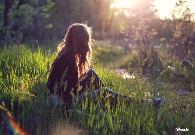 Woman sitting grass sunlight trees free wallpaper for desktop - medium preview image