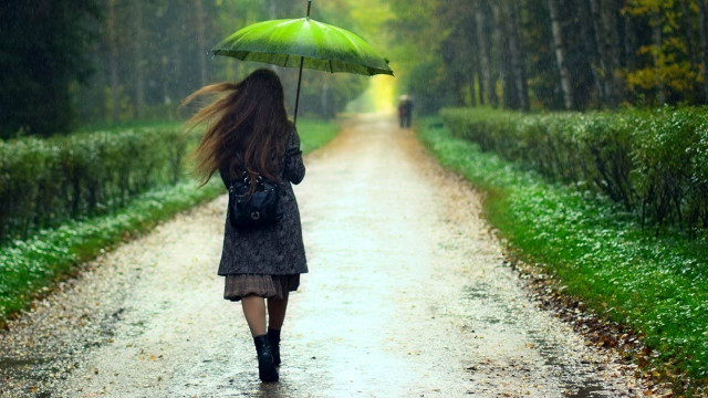 Woman walking road umbrella rain free wallpaper for desktop - medium preview image