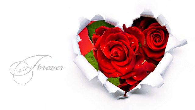 Heart rose forever bouquet romanticism free wallpaper for desktop - medium preview image