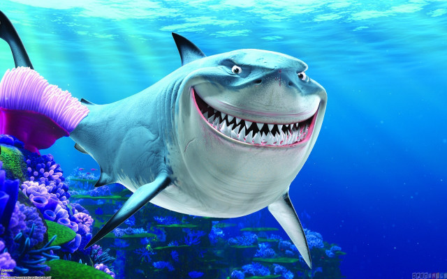 Shark pink tail smile swimming free wallpaper for desktop - medium preview image