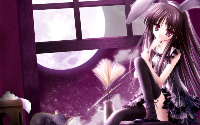 Girl window sill cat full free wallpaper for desktop - medium preview image