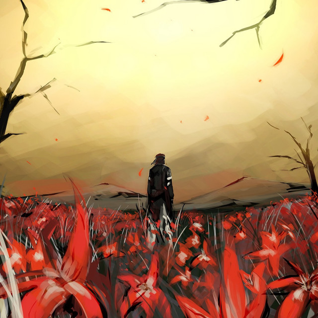 Man field flowers sunset bird free wallpaper for tablet - medium preview image