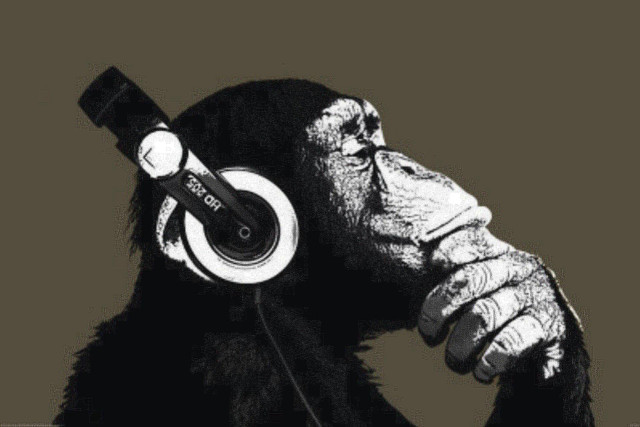 Monkey headphones looking up hand free wallpaper for desktop - medium preview image