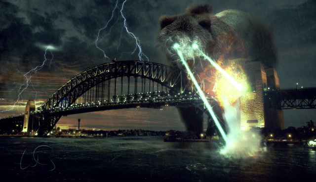 Bear water lightning bolt bridge free wallpaper for desktop - medium preview image