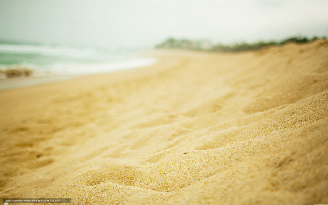 Sandy beach wave person walking free wallpaper for desktop - medium preview image
