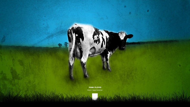 Cow standing field grass blue free wallpaper for desktop - medium preview image
