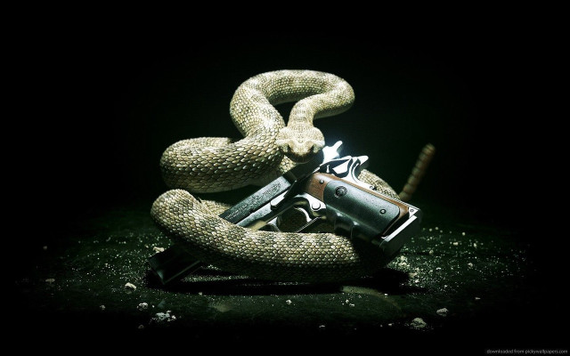 Gun snake dark middle wrapped free wallpaper for desktop - medium preview image