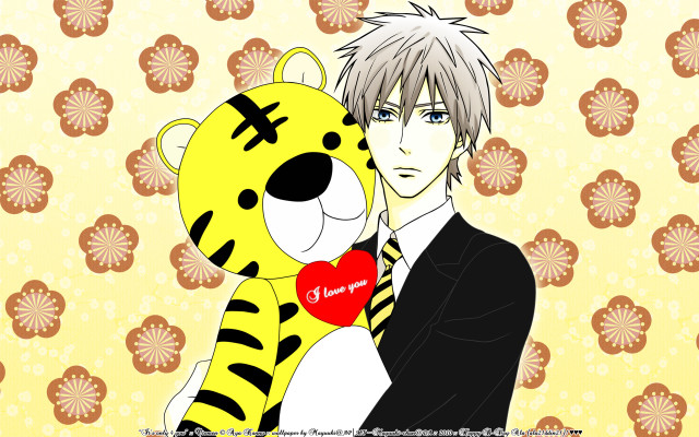 Man stuffed animal tiger wallpaper free wallpaper for desktop - medium preview image