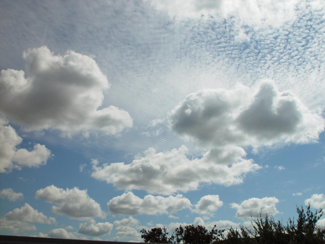 Blue sky clouds trees foreground #10 free wallpaper for desktop - medium preview image