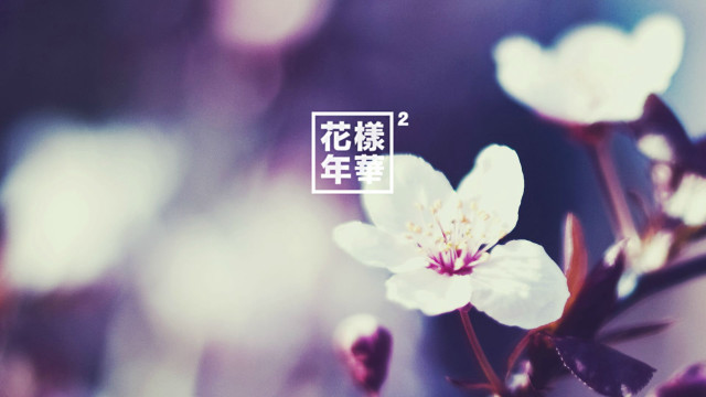 Flower closeup japanese symbol blurry free wallpaper for desktop - medium preview image