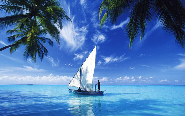 Sailboat man ocean palm trees free wallpaper for desktop - medium preview image