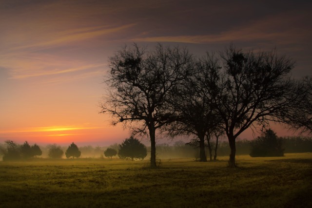 Field trees sunset clouds sky #2 free wallpaper for desktop - medium preview image