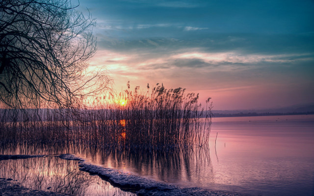 Lake trees water sunset dawn free wallpaper for desktop - medium preview image