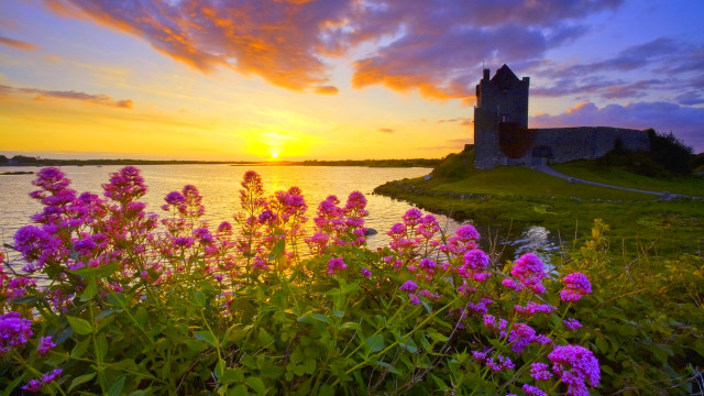 Castle hill water flowers sunset free wallpaper for desktop - medium preview image