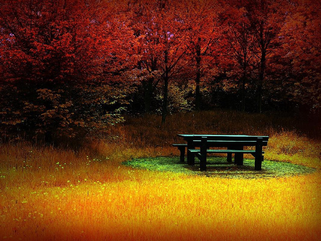 Bench trees red sky autumn free wallpaper for desktop - medium preview image