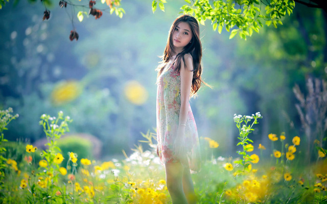 Woman field flowers tree sunlight free wallpaper for desktop - medium preview image