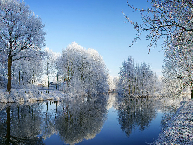 River trees snow forest bushes free wallpaper for desktop - medium preview image