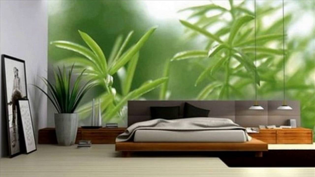 Bedroom plant window bamboo blinds free wallpaper for desktop - medium preview image