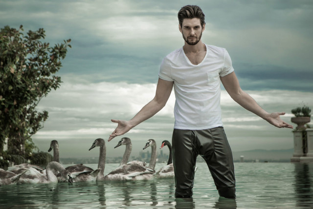 Man standing water swans lake free wallpaper for desktop - medium preview image