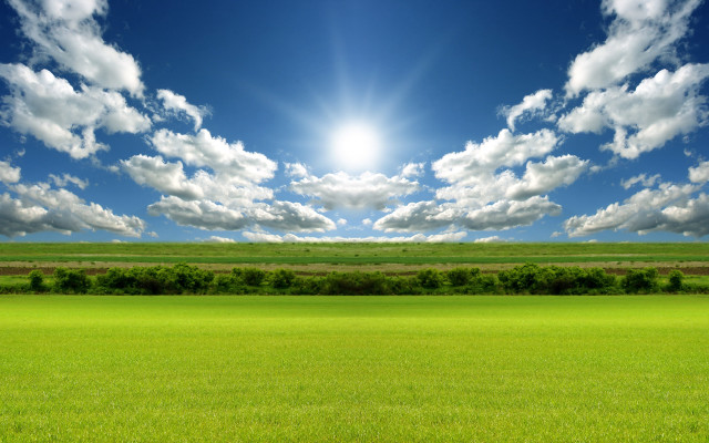 Sunny field grass trees bushes #3 free wallpaper for desktop - medium preview image