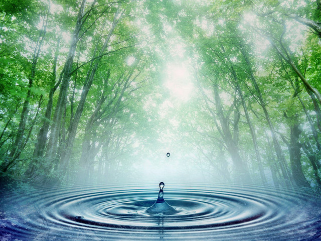 Water drop person trees background free wallpaper for desktop - medium preview image