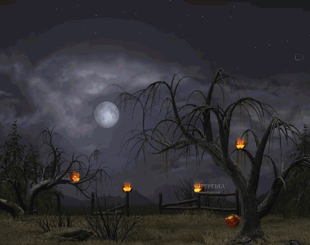 Night scene full moon pumpkin free wallpaper for desktop - medium preview image