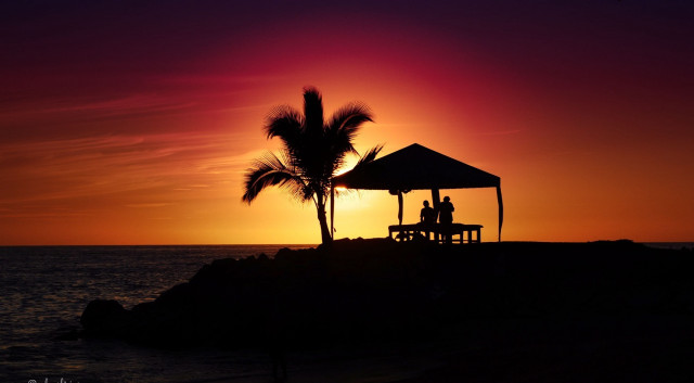 Couple bench palm tree sunset free wallpaper for desktop - medium preview image