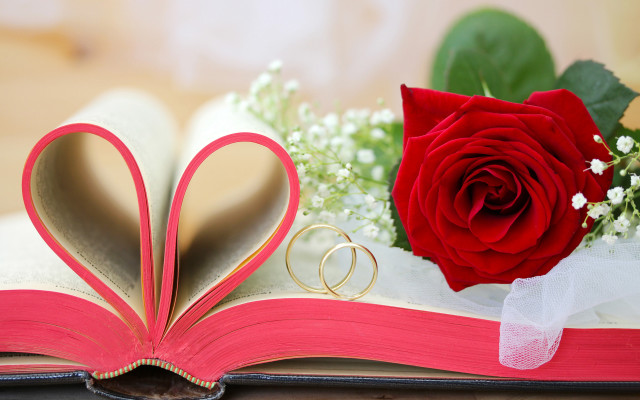 Romantic book heart ring rose free wallpaper for desktop - medium preview image