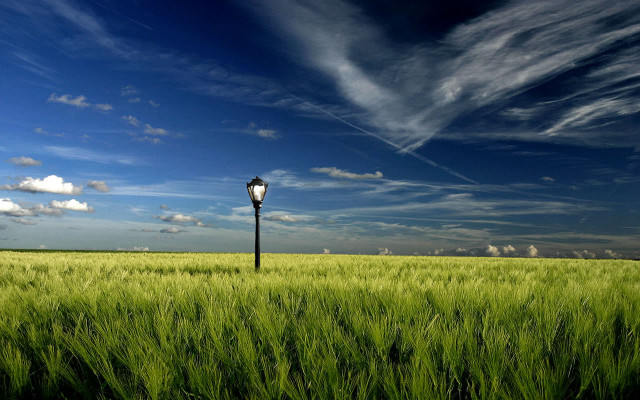 Lamp post field green grass free wallpaper for desktop - medium preview image