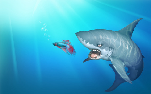 Shark fish ocean sunlight bubbles free wallpaper for desktop - medium preview image