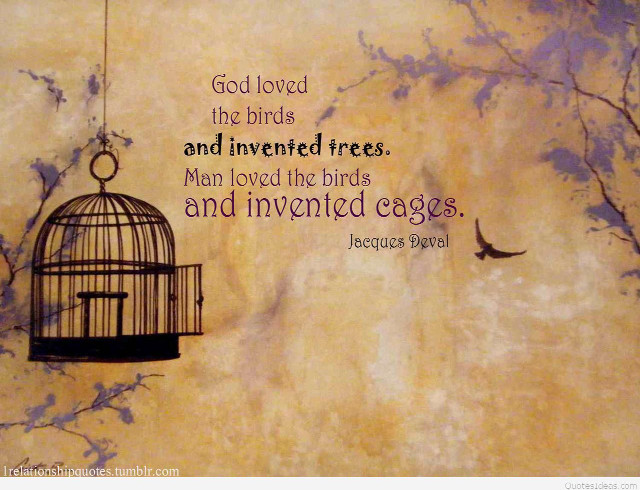 Bird cage quote god loved free wallpaper for desktop - medium preview image