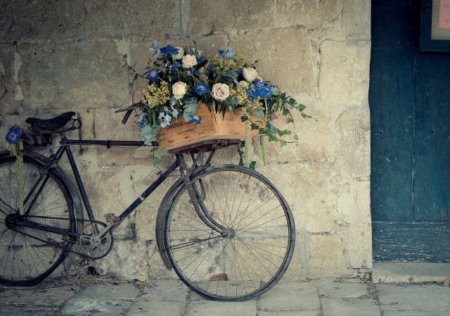 Bicycle basket flowers parked wall free wallpaper for desktop - medium preview image