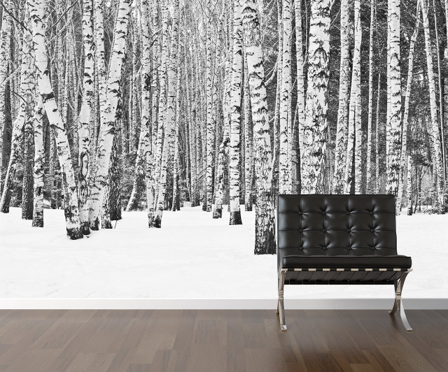 Black white forest snow bench free wallpaper for desktop - medium preview image